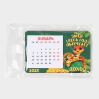 Магнит новогодний дерево с календарем &laquo;Новый год: Змея оберегает&raquo;, 7 х 11 см