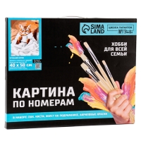 Картина по номерам на холсте с подрамником &laquo;Утренний котик&raquo;, 40 х 50 см