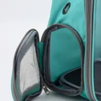 Рюкзак для переноски животных прозрачный, 31 х 28 х 42 см, бирюзовый