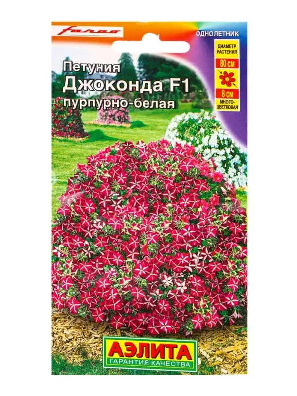 Семена цветов Петуния Джоконда F1 пурпурно-белая  (драже в пробирке) С. Farao, Ц/П,5 шт.