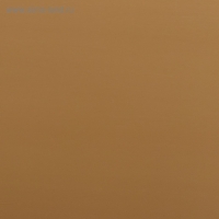 Пленка для цветов "Пленка с золотом", цвет бежевый, 58 см х 5 м