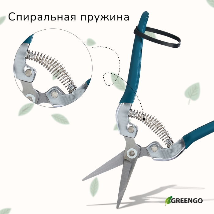 Ножницы садовые, 7" (18 см), с металлическими ручками, обрезиненная ручка, Greengo