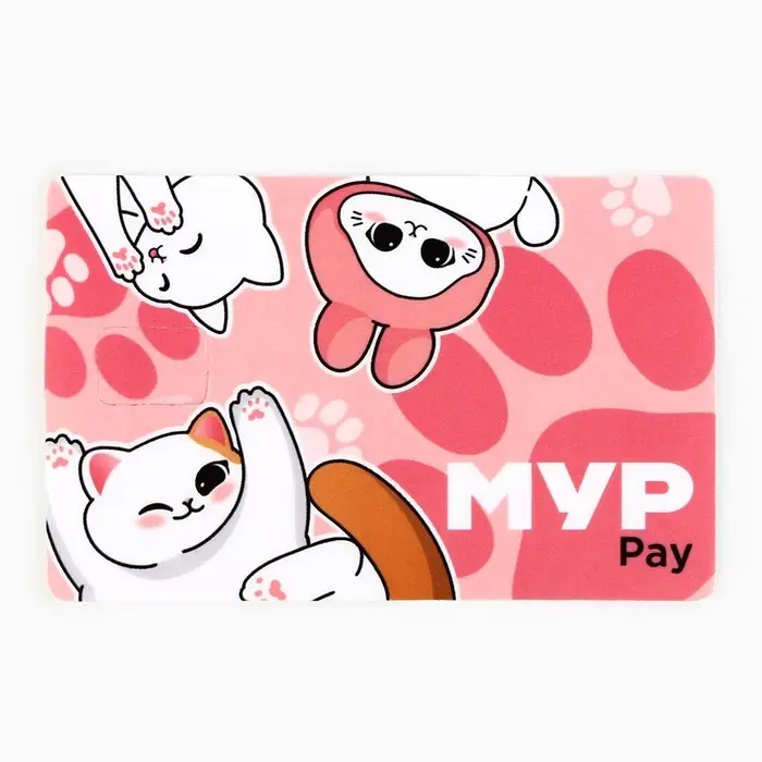 Наклейка на банковскую карту &laquo;Мур Pay&raquo;, 8,5 х 5,4 см