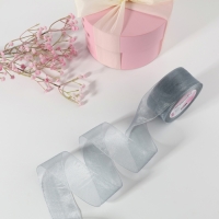 Лента капроновая, 40 мм, 20 &plusmn; 1 м, цвет серый №59