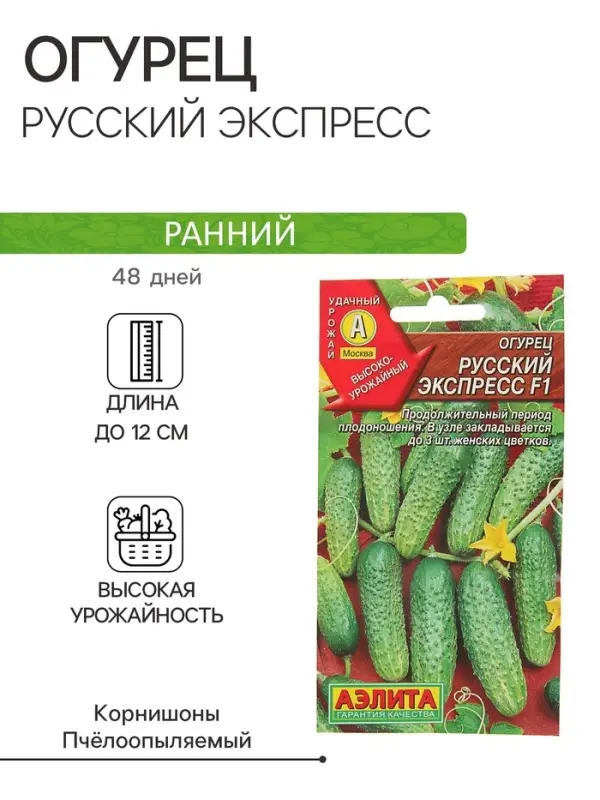 Семена Огурец "Русский экспресс" F1, среднеранний, пчелоопыляемый,  10 шт.