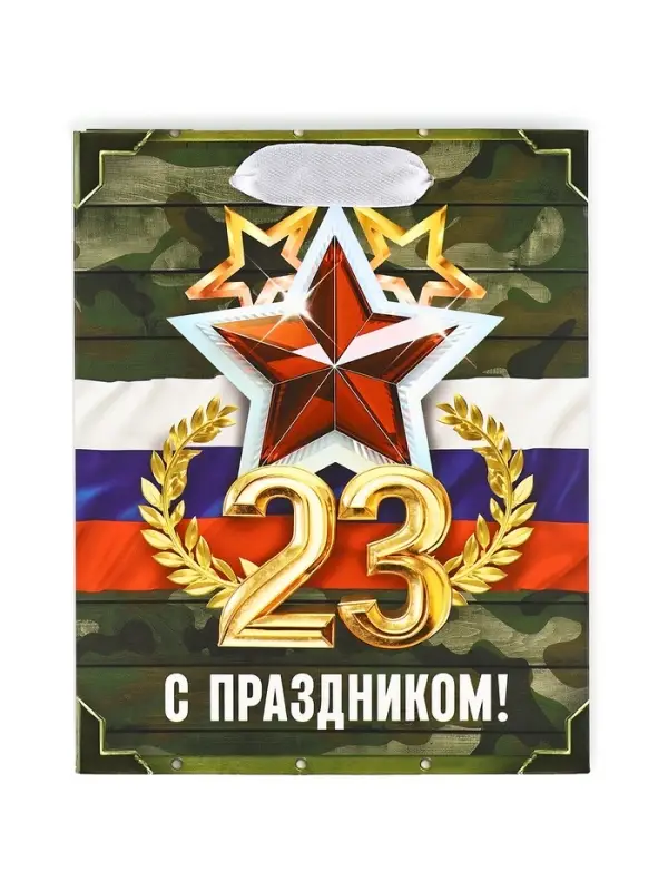 Пакет подарочный ламинированный &laquo;23 февраля&raquo;, S 12 х 15 х 5.5 см