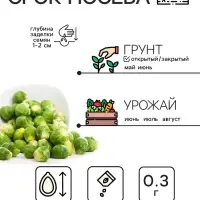 Семена Капуста брюссельская "Розелла", 0,3 г