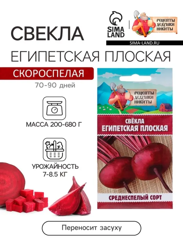 Семена Свекла &laquo;Египетская плоская&raquo;, 2 г