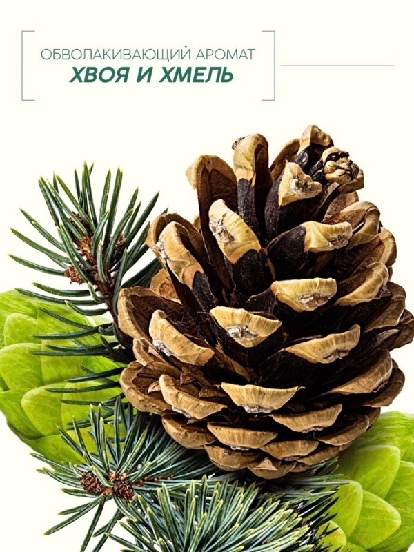 Мужской шампунь 2 в 1, 400 мл