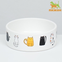 Миска керамическая "Котяры" 300 мл  12,5 x 4,5 cм, белая