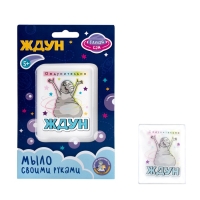 Набор для изготовления мыла. Мыло своими руками "Ждун. Ождунительно" 05783