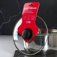 Крышка стеклянная для сковороды и кастрюли &laquo;Доляна&raquo;, d=24 см, нержавеющий обод, пластиковая ручка