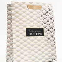 Пакет подарочный вертикальный "С наилучшими пожеланиями", 18 х 23 х10 см