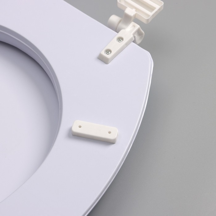 Сиденье для унитаза с крышкой Доляна &laquo;Ромашки&raquo;, 42&times;36,5 см