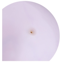 Мяч детский &laquo;Динозаврики&raquo;, d=25 см, цвет МИКС