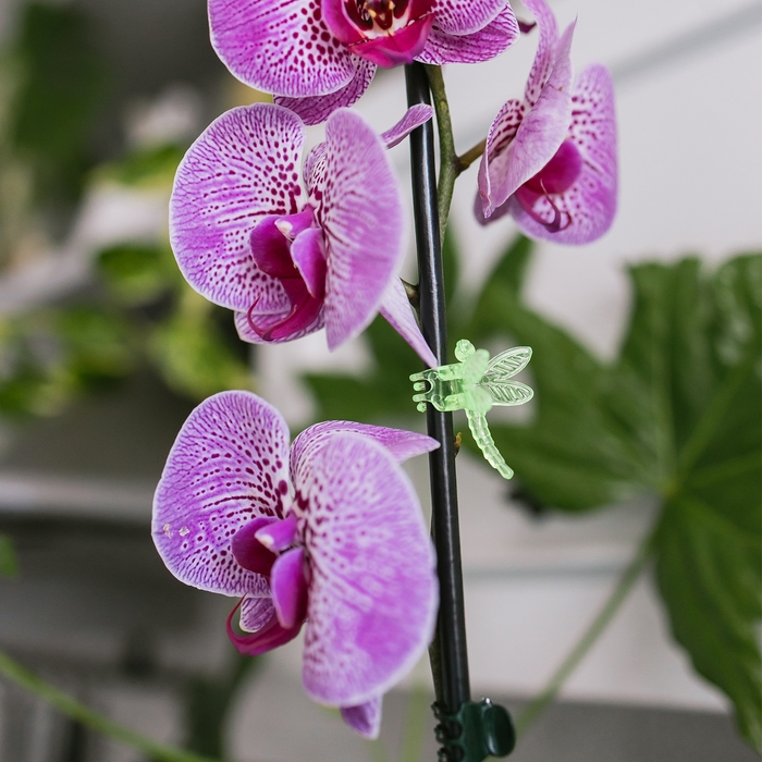 Клипса для растений &laquo;Стрекоза&raquo;, набор 10 шт., МИКС, Greengo