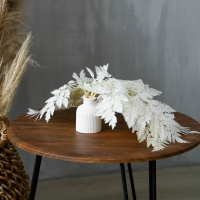 Сухоцвет &laquo;Папоротник&raquo;, белый, 10 шт. в упаковке