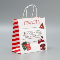 Пакет подарочный новогодний крафтовый &laquo;Молодец&raquo;, 22 х 22 х 11 см, Новый год