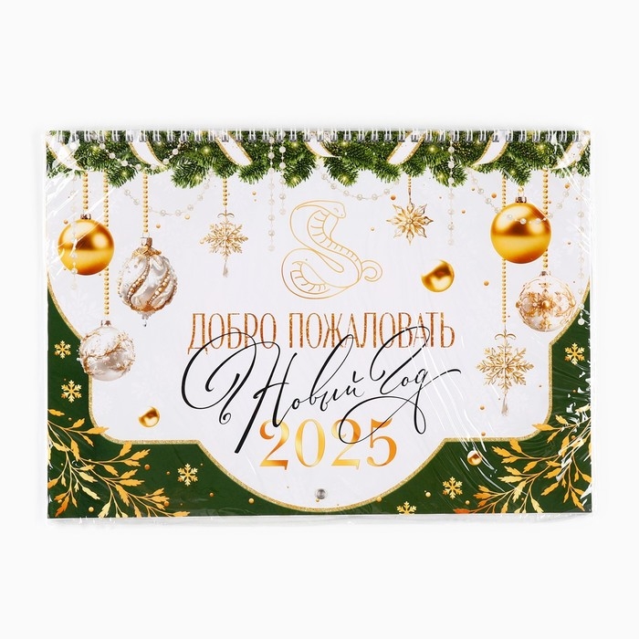 Календарь 2025 настенный, на спирали &laquo;Новый год: Добро пожаловать&raquo;, 34 х 24 см