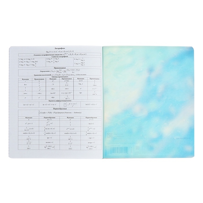 Тетрадь предметная АЛГЕБРА, 48 листов в клетку, ErichKrause Manga, обложка мелованный картон, твин-лак, блок офсет 100% белизна, инфо-блок