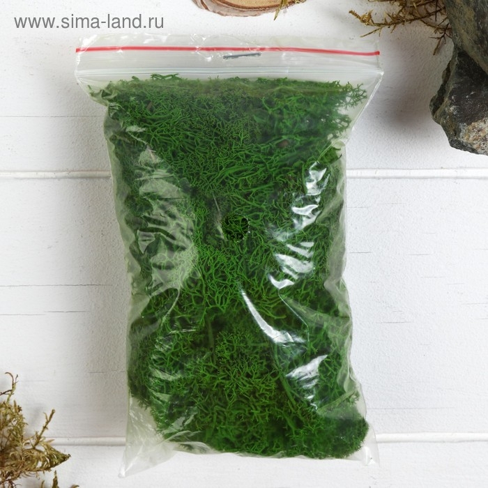 Мох стабилизированный Мох стабилизированный "Салатовый" 45 гр (+-5 гр).