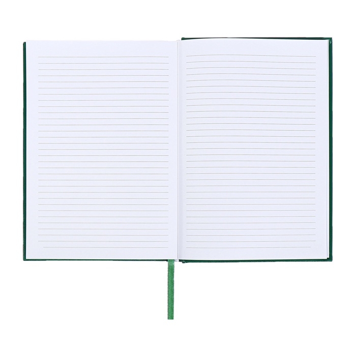 Ежедневник датированный 2024 года, А5, 176 листов, Attomex.Orion, обложка бумвинил, ляссе, блок 70 г/м2, зелёный