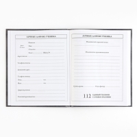 Дневник школьный 5-11 класс, в твердой обложке, 48 л. &laquo;Россия&raquo;