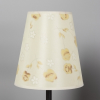 Лампа настольная BayerLux ЭКО "Сол" 1х40Вт Е27 светло-коричневый 20х20х45см