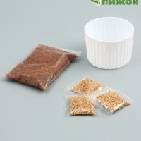 Проращиватель травы кошкам, с семенами