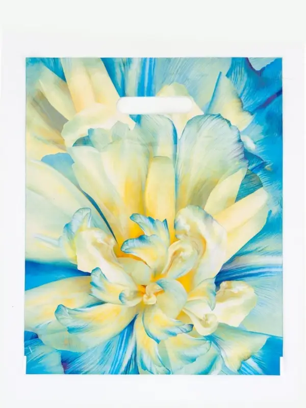 Пакет "Молли", полиэтиленовый с вырубной ручкой, 30х37 см, 90 мкм