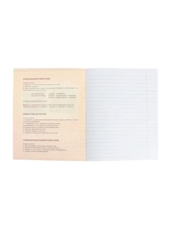 Тетрадь предметная 48 листов в клетку Calligrata, &laquo;Русский язык&raquo;, обложка мелованный картон