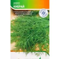 Семена Укроп "Кибрай" 2 г