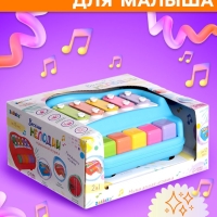 Музыкальная игрушка &laquo;Металлофон&raquo;