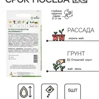 Семена Огурец"Жозефино" F1 5шт ЭКОНОМ