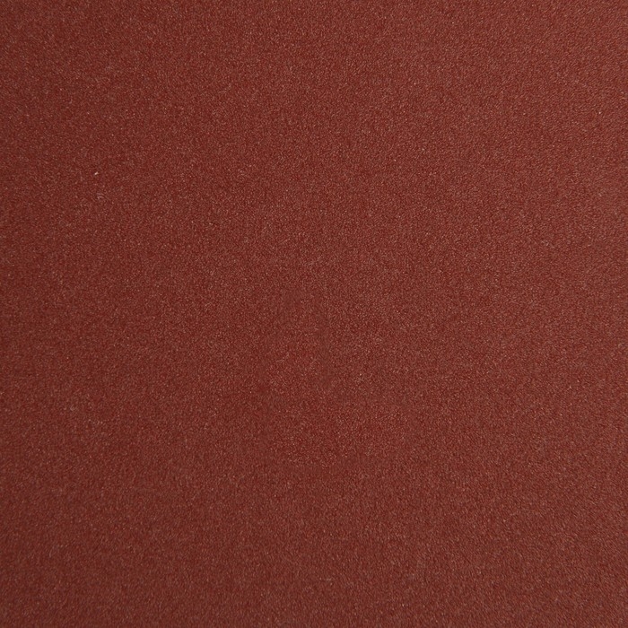 Круг абразивный шлифовальный под "липучку" ТУНДРА, 125 мм, Р180, 10 шт.