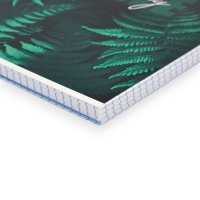 Тетрадь А5, 96 листов на спирали, 3 шт. &laquo;Nature&raquo; МИКС