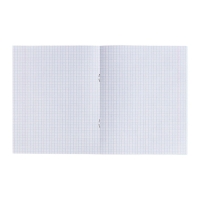 Комплект тетрадей из 10 штук, 24 листа в клетку КПК "Зелёная обложка", блок офсет, 58-62 г/м&sup2;, белизна 90%