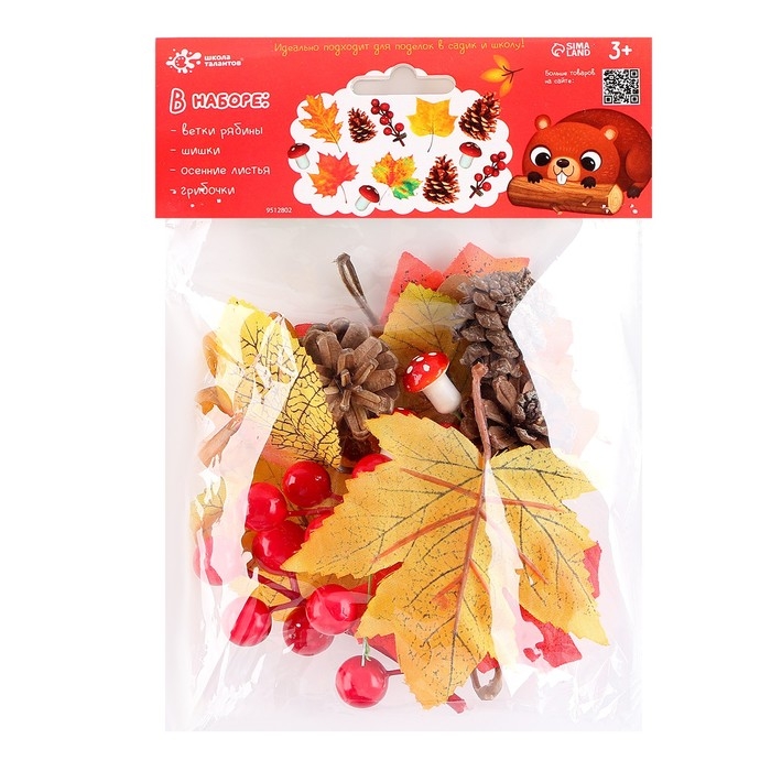 Набор для творчества &laquo;Материалы для осенних поделок. Листья, шишки&raquo;