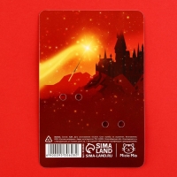 Значки деревянные, неразлучники &laquo;Наша дружба это магия&raquo;, 2 шт., 8 х 12 см.