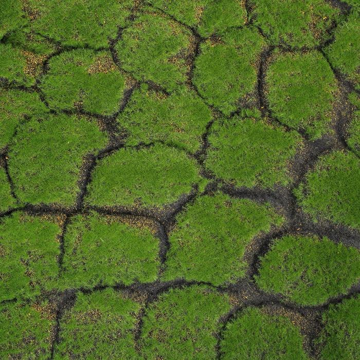 Мох искусственный, декоративный, полотно 1 &times; 1 м, рельефный, камни, зелёный с щепой, Greengo