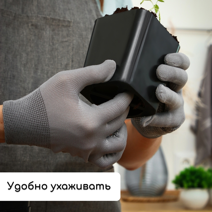 Набор для рассады: стаканы по 700 мл (10 шт.), поддон 44 &times; 18 см, чёрный, Greengo