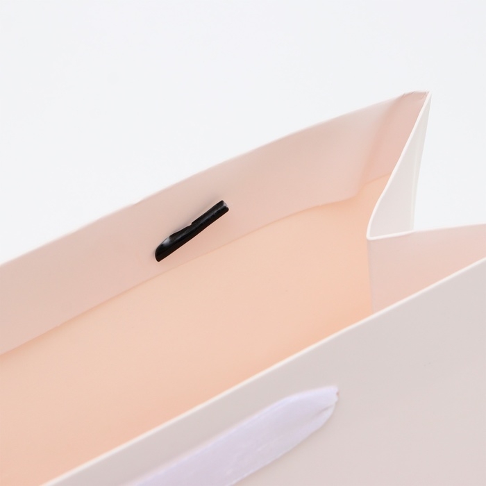 Пакет ламинированный &laquo;Белый&raquo;, MS 23 &times; 18 &times; 10 см