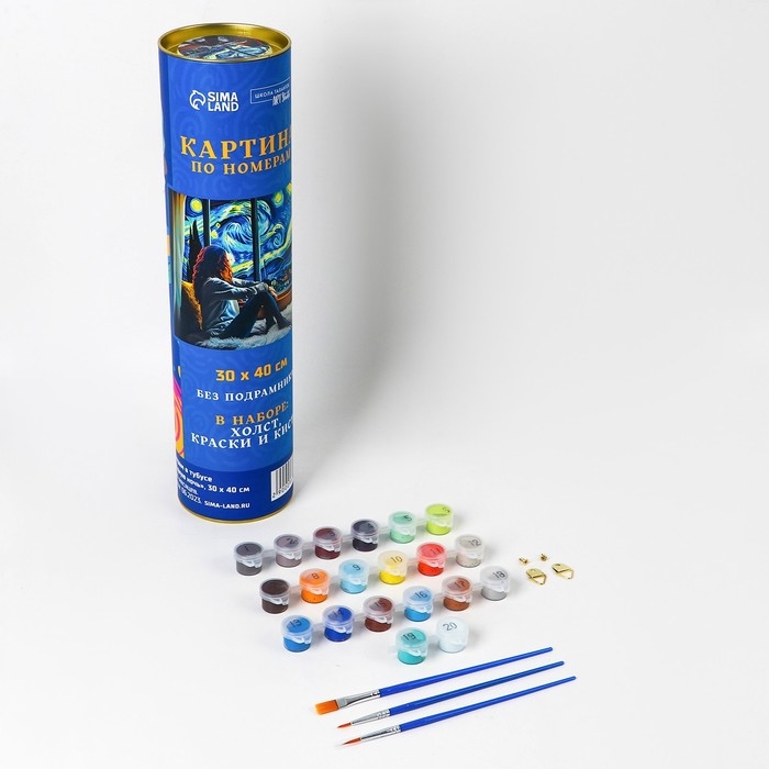 Картина по номерам в тубусе &laquo;С видом на звездную ночь&raquo;, 30 х 40 см