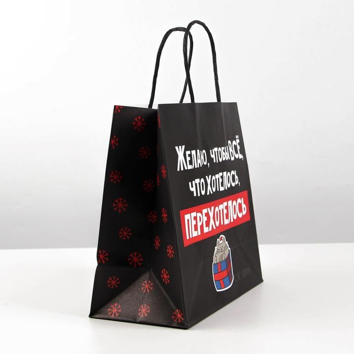 Пакет подарочный новогодний &laquo;Чтобы всё хотелось&raquo;, 22 х 22 х 11 см, Новый год