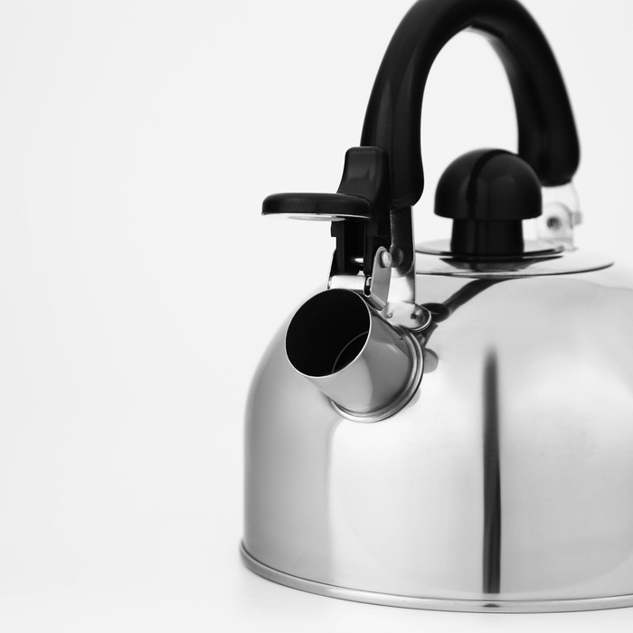 Чайник со свистком из нержавеющей стали Доляна &laquo;Чёрная ночь&raquo;, 2 л, индукция, цвет хромированный