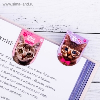 Закладки магнитные для книг, 6 шт &laquo;Котики&raquo;