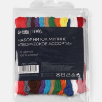 Набор ниток мулине хлопок 8&plusmn;1м (наб 12шт цена за наб) №19 TR