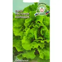 Семена Салат  "Холодок "0.5 г