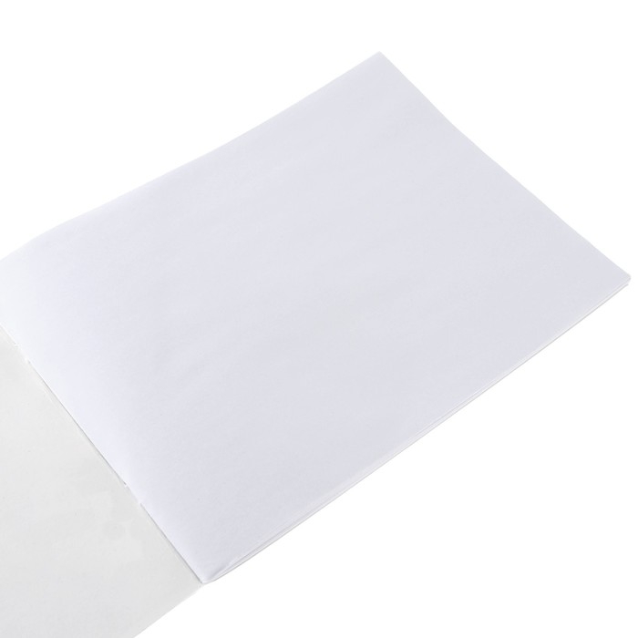 Альбом для рисования А4, 40 листов 100 г/м&sup2;, на скрепке, Коты аристократы