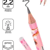 Карандаш чернографитный ErichKrause "Pointes", НВ, грифель d=2,2 мм, дерево, круглый, в тубусе, микс